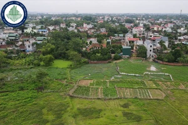 So sánh sai vai trò và giai đoạn làm lệch đánh giá khu vực